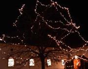2023-11-25_-_Weihnachtsmarkt_am_Schloss_Hof_mit_den_Neutaler_Pensionisten_9_
